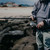 Tsunami SaltX II TSSTXXII6000 Saltwater Spinning Reel