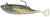 Calcutta Flashfoil Shads - 4 inch