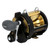 Shimano TLD TLD30IIA 2-Speed Lever Drag Conventional Reel