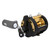 Shimano TLD TLD50IILRSA 2-Speed Lever Drag Conventional Reel