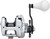 Shimano Trinidad A TN12A Star Drag Conventional Reel