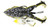 Lunkerhunt Prop Frogs
