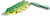 Molix Sneaky Frog