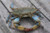 Sea Striker Crab Throw Line