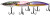Shimano Orca 190JE Topwater Lures