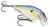 Rapala Scatter Shad Lures