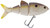 SPRO 4in Swim Baits