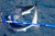 Lamiglas BW7030C Blue Water Series Offshore Jigging Conventional Rod - 7 ft.