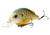 LIVETARGET Lures Bluegill Squarebill