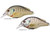 LIVETARGET Lures Bluegill Squarebill