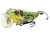 LIVETARGET Lures Frog Popper