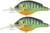 LIVETARGET Lures Pumkinseed Crankbait