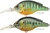 LIVETARGET Lures Pumkinseed Crankbait PS70M Medium Dive 2.75in