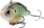 LIVETARGET Lures Pumkinseed Lipless Rattlebait