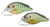 LIVETARGET Lures Pumpkinseed Squarebill