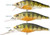 LIVETARGET Lures Yellow Perch Crankbait/Jerkbait