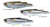 LIVETARGET Mullet Walking Bait Lures