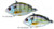 LIVETARGET Pinfish Sinking Lures