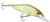 Rapala SDRSD09 Shadow Rap Deep Shad Lure