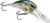 Rapala Shad Dancer Crankbaits