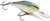 Rapala Shad Rap Crankbaits