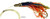 Sportfish Products 6in Bubble Jet Lures