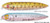 Heddon Zara Spook Puppy Topwater Lures