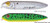 Heddon Zara Spook Puppy Topwater Lures
