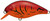 Evergreen CR-2 Crankbait