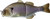 Jackall Gigantarel Swimbaits