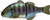 Jackall Gigantarel Swimbaits