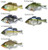 Jackall JGIRON Hard Swim Bait Giron Lure
