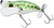 Jackall Pompadour - Green Frog