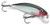 Rapala XRCD05 X-Rap Countdown Lure