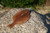 Hogy Flatfish Softbait