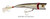 Creek Chub Knucklehead Lures