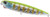 Duo Realis Pencils