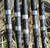 Lamiglas LCS106MS Carbon Surf Rod - 10ft 6in