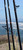 Lamiglas LCS106MS Carbon Surf Rod - 10ft 6in