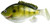 FishLab Bio Gill Weedless Soft Swimbait - 4-5/8in