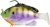 FishLab Bio Gill Rigged Soft Swimbait - 4in
