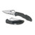 Spyderco Delica4 Combination Edge Knives
