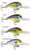 Storm Wiggle Wart MadFlash Crankbaits