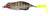 Teckel USA TKL-Sprinker-009S Sprinker Frog Lure - Bluegill