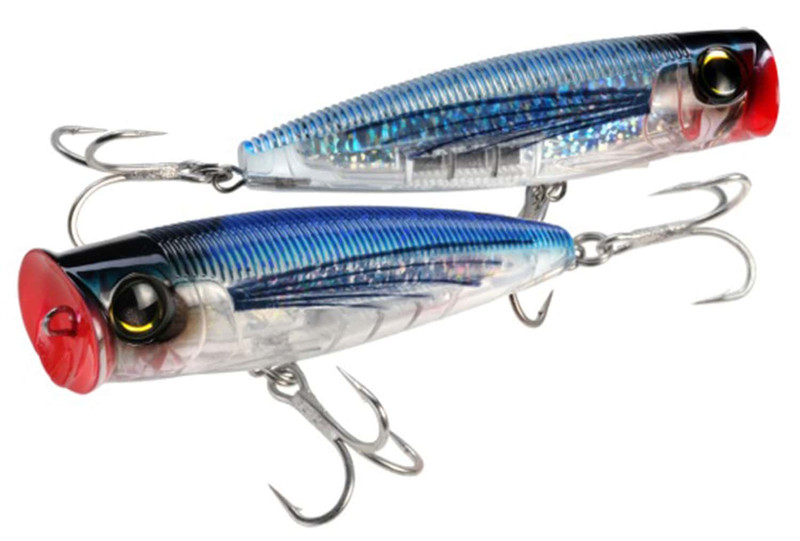 Blue Mackerel