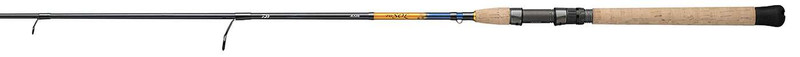 Daiwa 20 TD Saltwater Spinning Rod