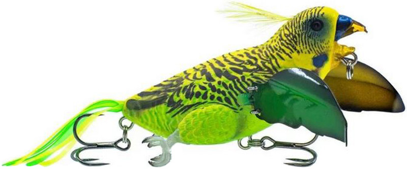 Budgie