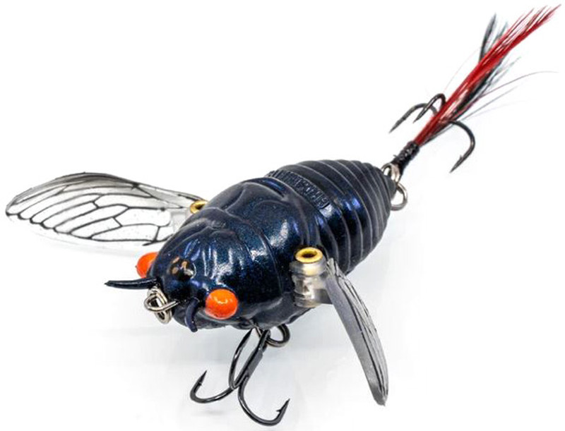 Ripple Cicada 1.75 Topwater Bait by Chasebaits