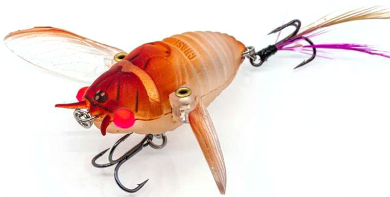 Chasebaits Ripple Cicada - TackleDirect