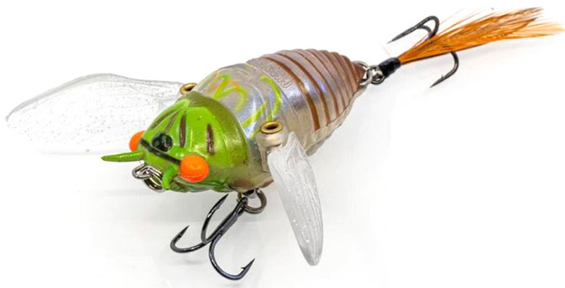 Realistic Topwater Dragonfly Soft Plastic Fishing Lure - Plus Bass Fishing  Footage 